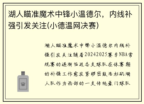 湖人瞄准魔术中锋小温德尔，内线补强引发关注(小德温网决赛)