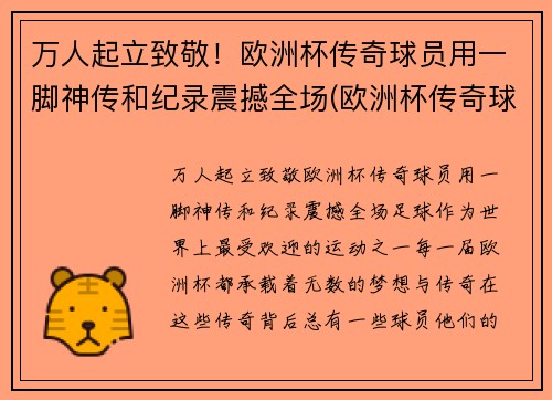 万人起立致敬！欧洲杯传奇球员用一脚神传和纪录震撼全场(欧洲杯传奇球场纪录片)