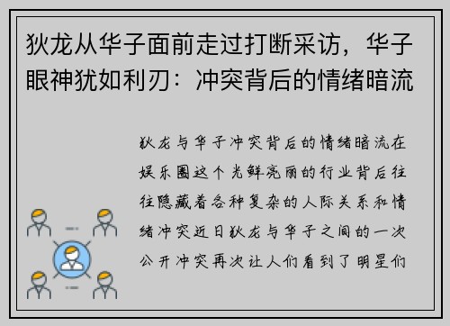 狄龙从华子面前走过打断采访，华子眼神犹如利刃：冲突背后的情绪暗流