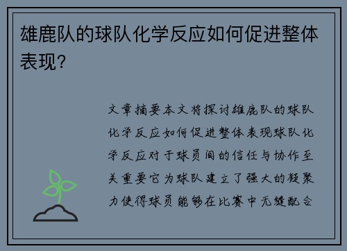 雄鹿队的球队化学反应如何促进整体表现？